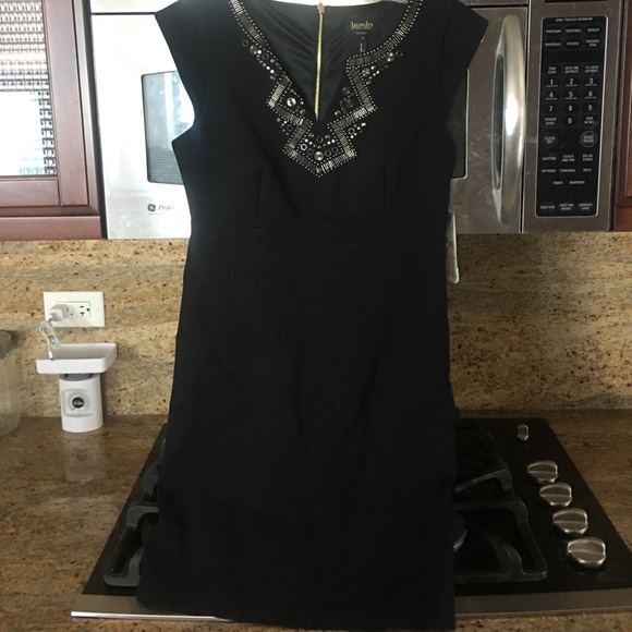 Lovely Laundry Dress Size 4; NWT